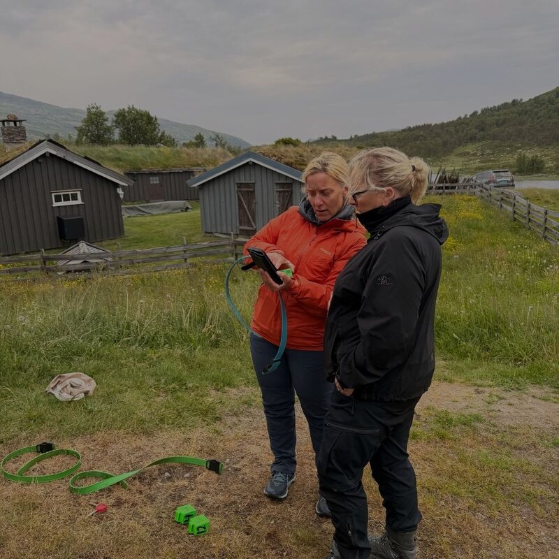 Gunn Kristin Aune Pedersen ser på appen ved setra på Tynset