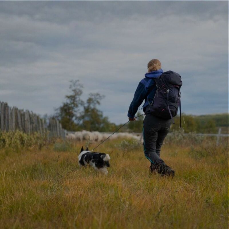 Marit Mjøen Solem på tilsyn med hund i utmarka