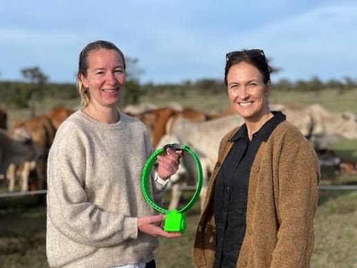 Findmy together with cattle farmers in Kenya