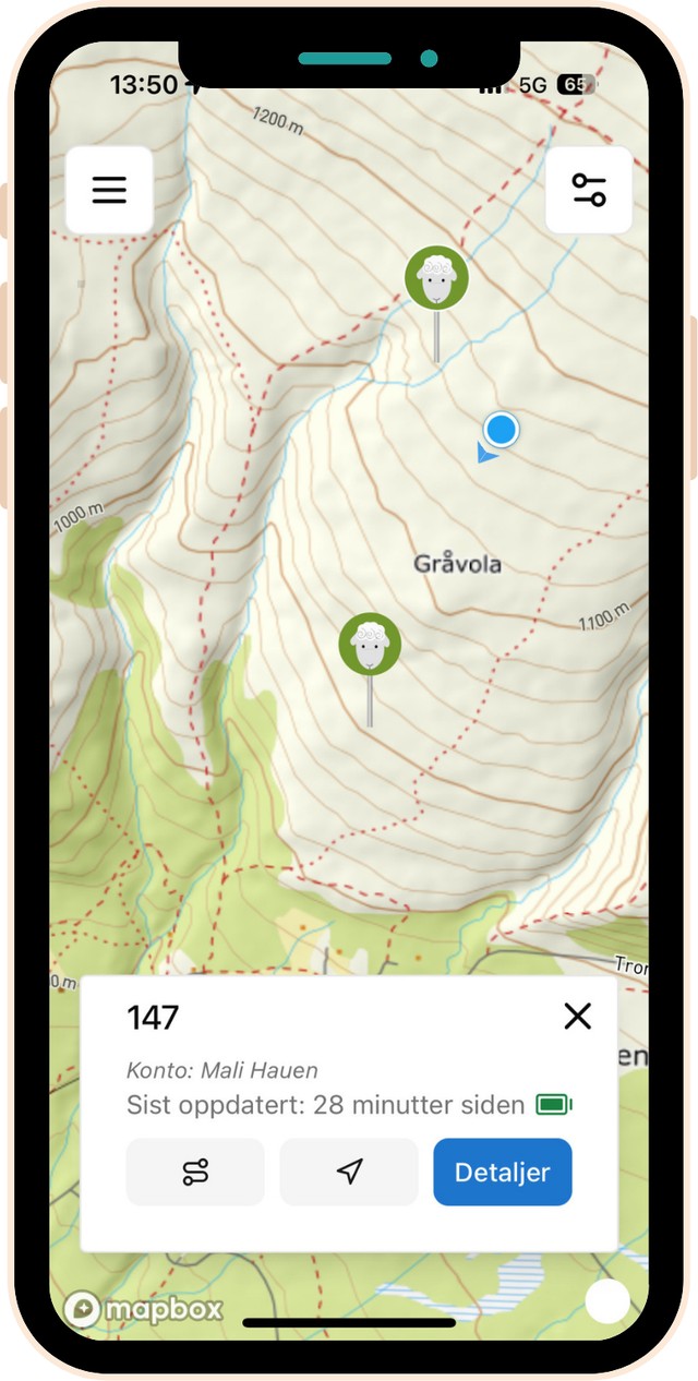 The map in the Findmy app with the animals' positions